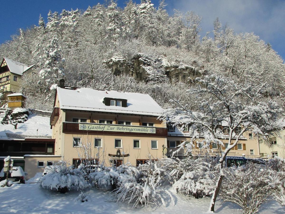 Gasthof Zur Behringersmuhle Hotel Goessweinstein Luaran gambar